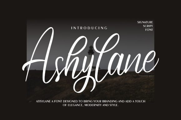 Ashylane Script: The Elegant Typeface for Modern Campaigns