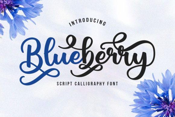 Blueberry Script: A Typeface for Elegant Editorial Design