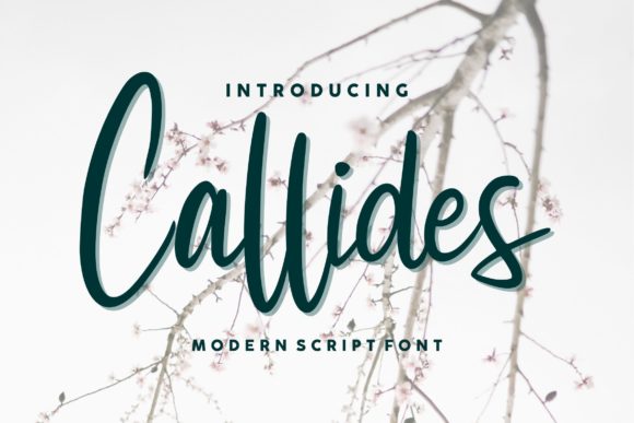 Callides Script: A Romantic Typeface for Elegant Design