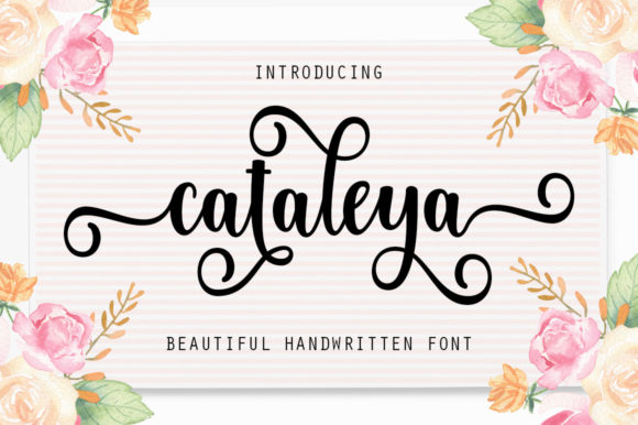 Cataleya Script Font for Elegant Campaigns