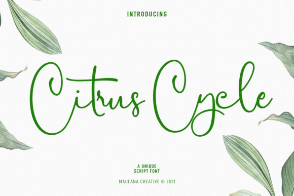 Citrus Cycle Script: Elegant Typeface for Editorial Design