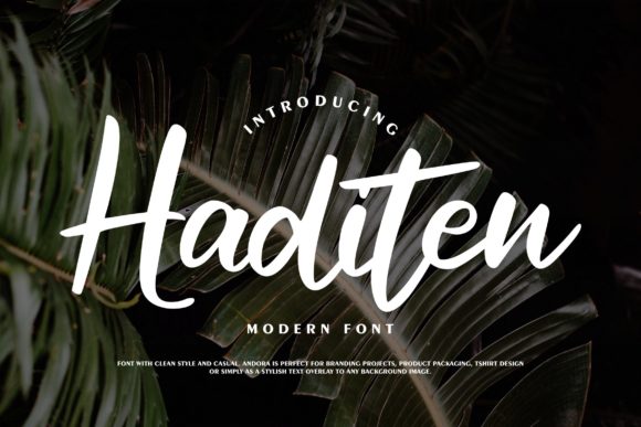 Haditen Script: A Chic Typeface for Digital Design