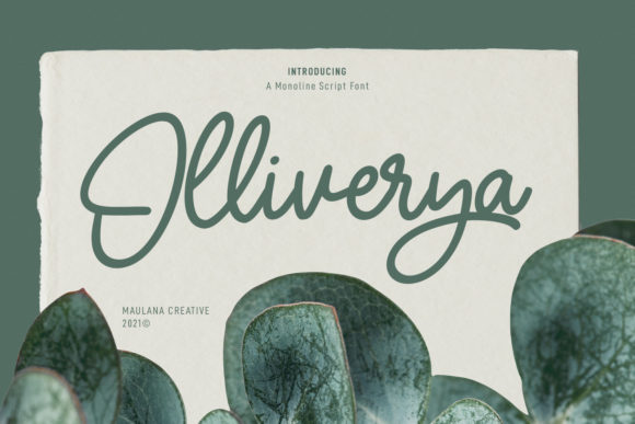 Olliverya Script Typeface for Campaigns