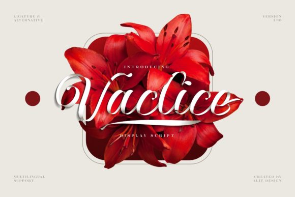 Vaclice Script Font for Modern Web Design